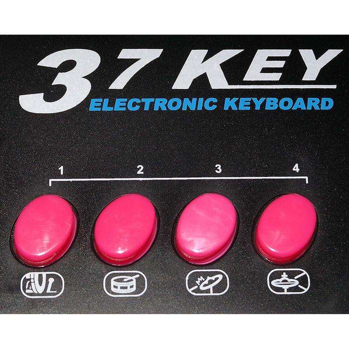 Electronic Keyboard And Mic