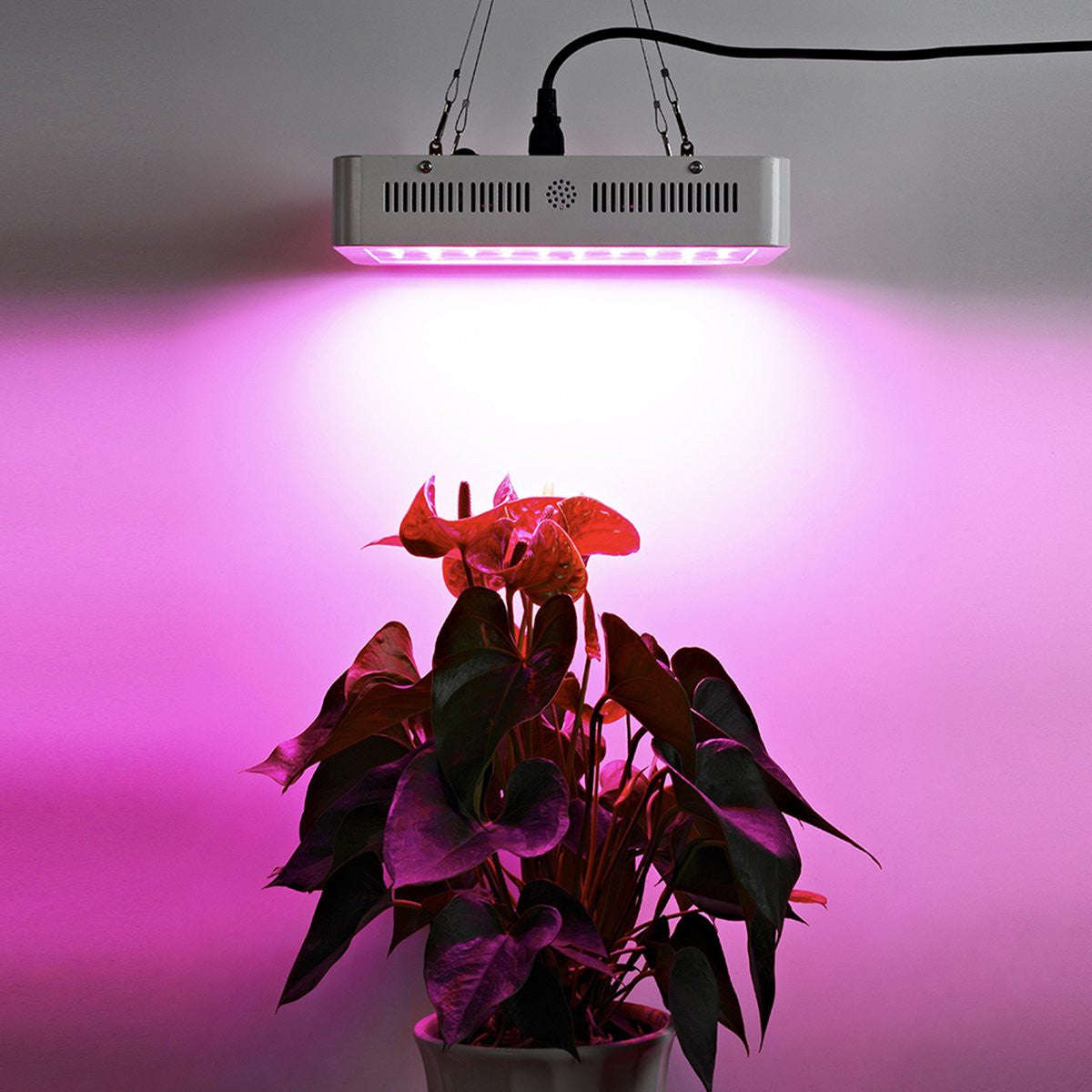 1000w Grow Light