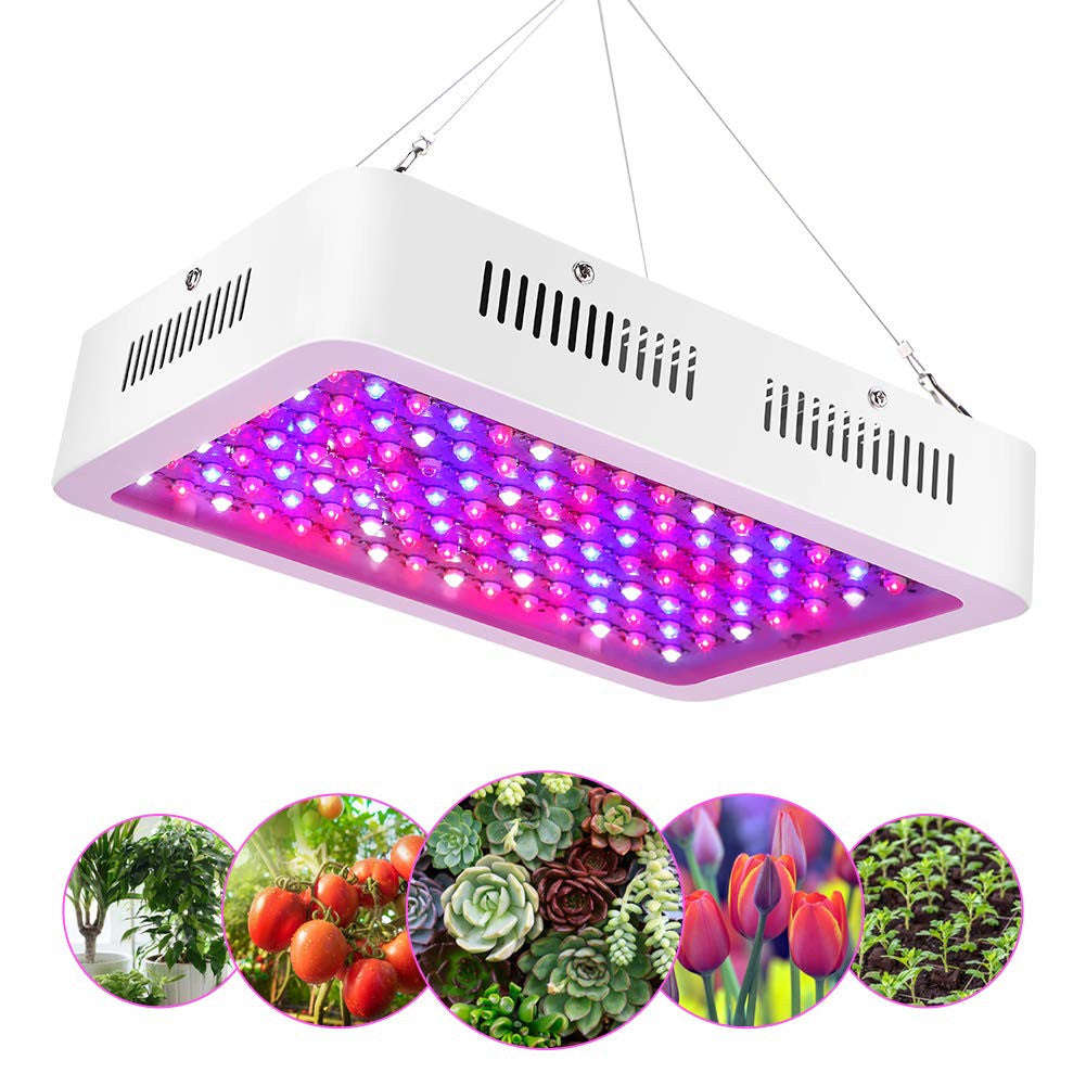 1000w Grow Light