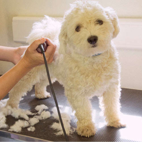 Electric Pet Hair Clipper