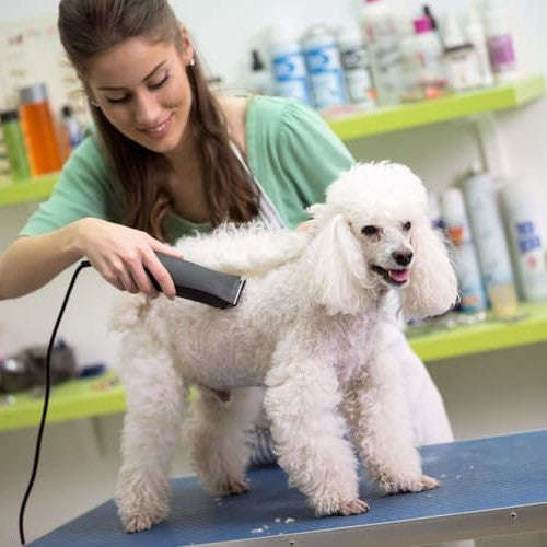 Electric Pet Hair Clipper