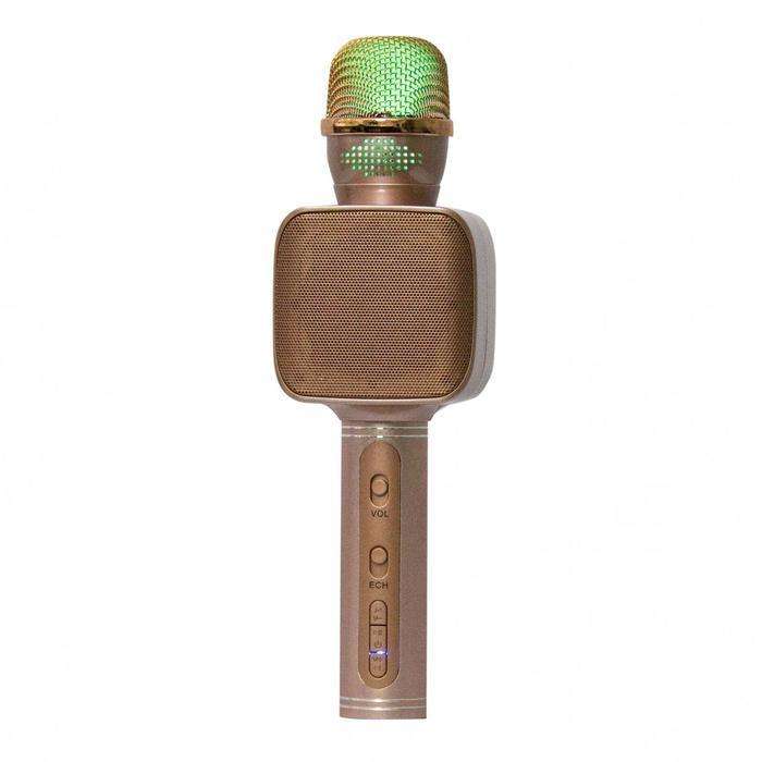 Multifunctional Wireless Karaoke Microphone - Rose Copper