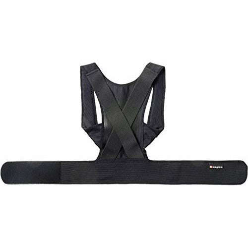 Posture Correcting Back Support
