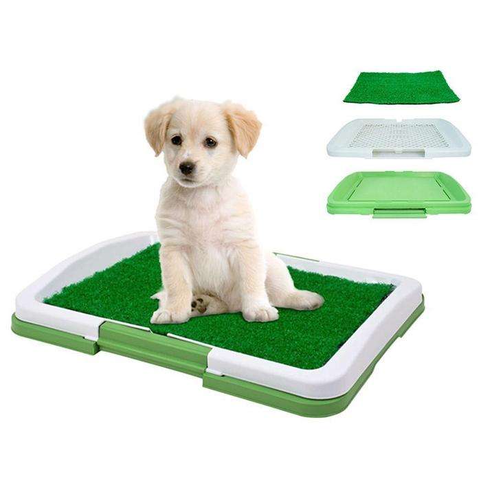 Puppy Potty Pad