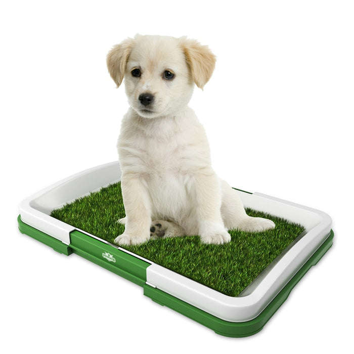 Puppy Potty Pad