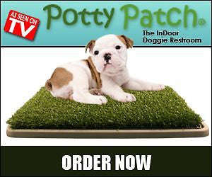 POTTY PATCH FOR BIGGER DOGS