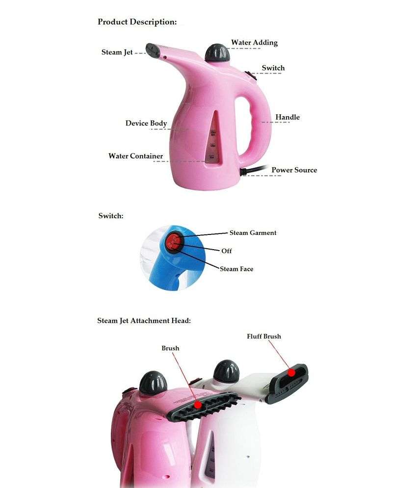 Facial and Garment Steamer