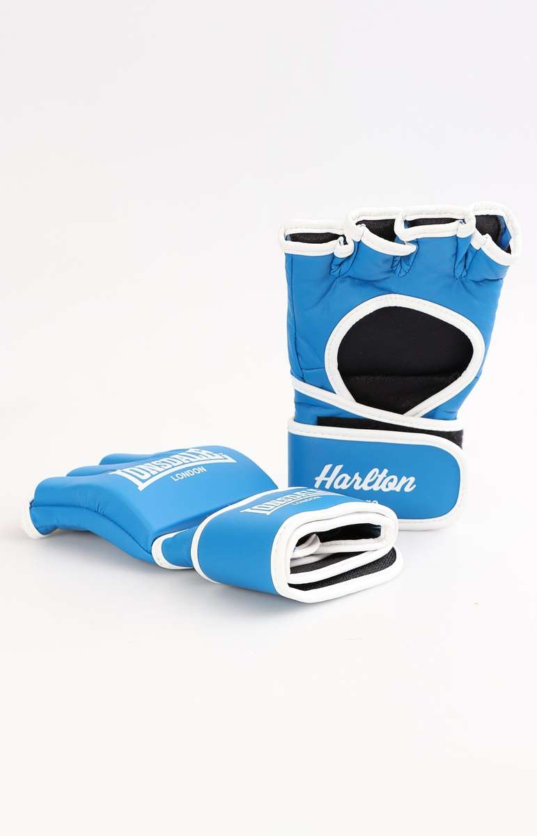 Mens Rookie Mma Gloves - Blue-White - Blue-White / L
