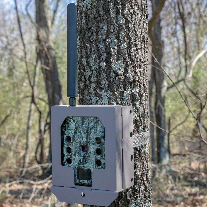 Trail Camera Security Box – Non-Cellular Version