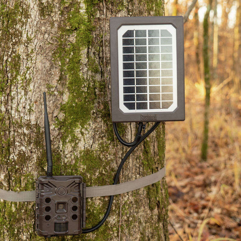 SOLAR PANEL TAN UNIVERSAL