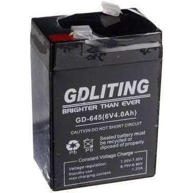 GD Lighting Battery 6V 4AH Sealed Lead-Acid Battery (Replacement Battery for Magneto & other devi...
