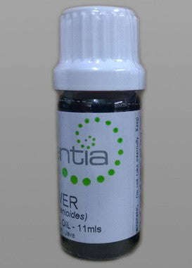 Peppermint Organic Essential Oil