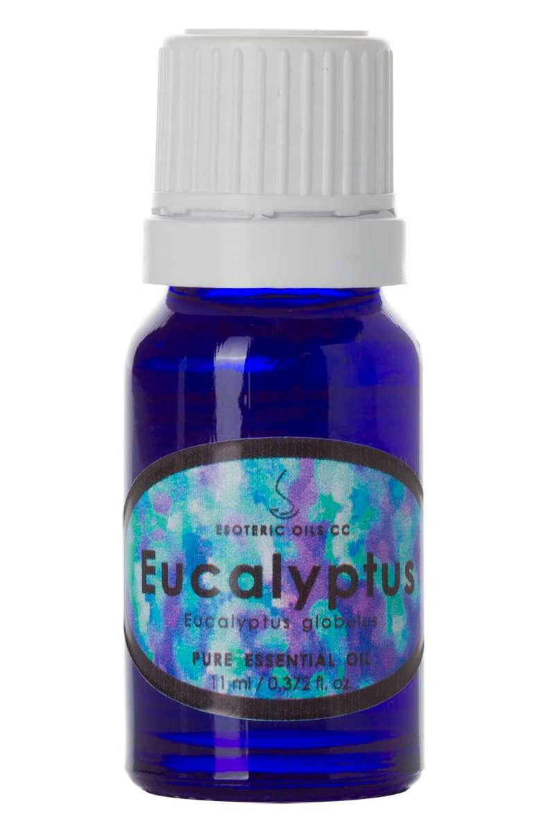 Eucalyptus Organic Oil