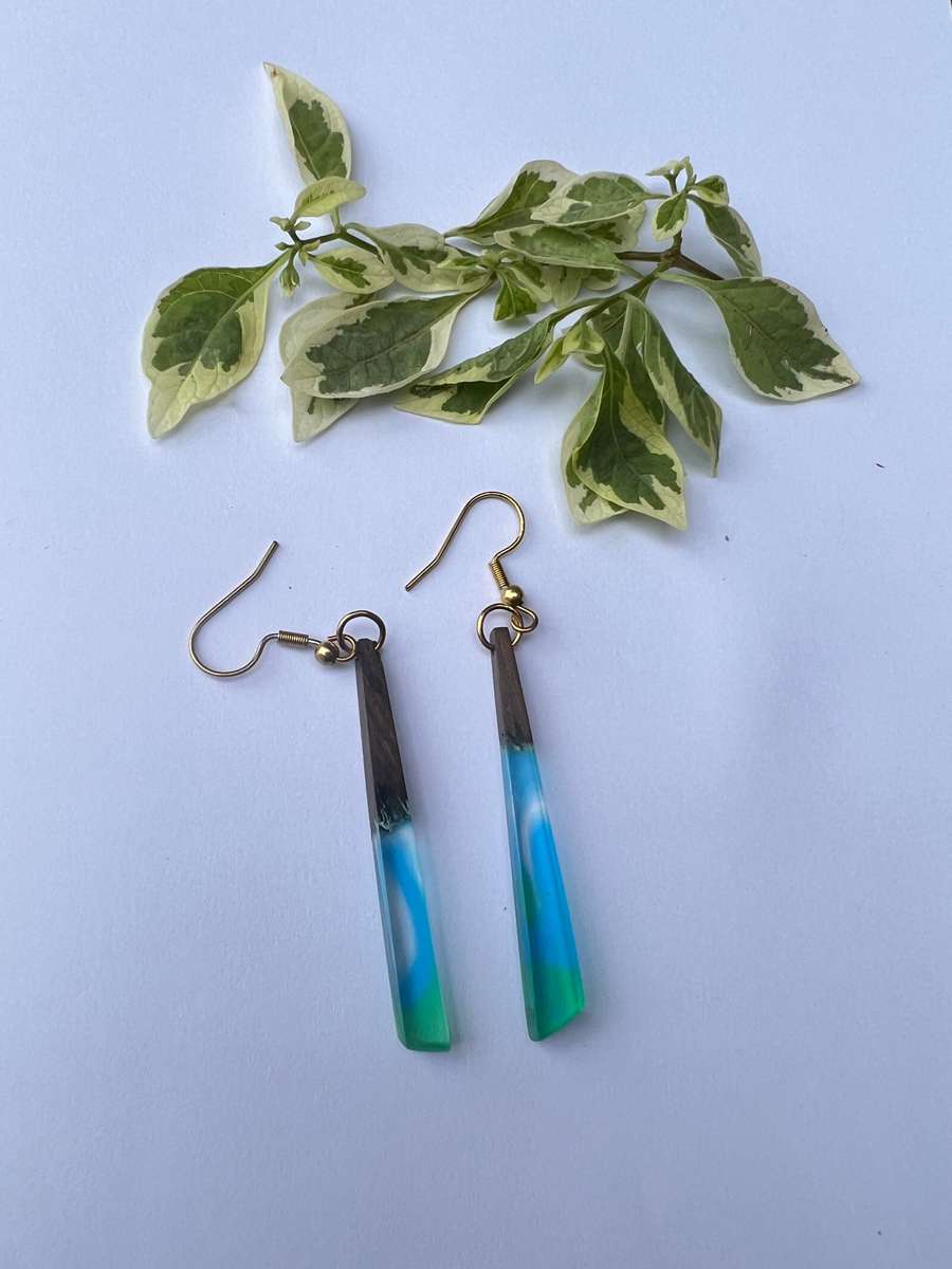Colour blast Resin on Wood earrings