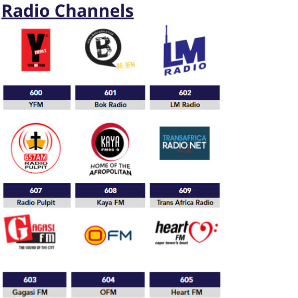OVHD Decoder with Installation (Joburg Only)