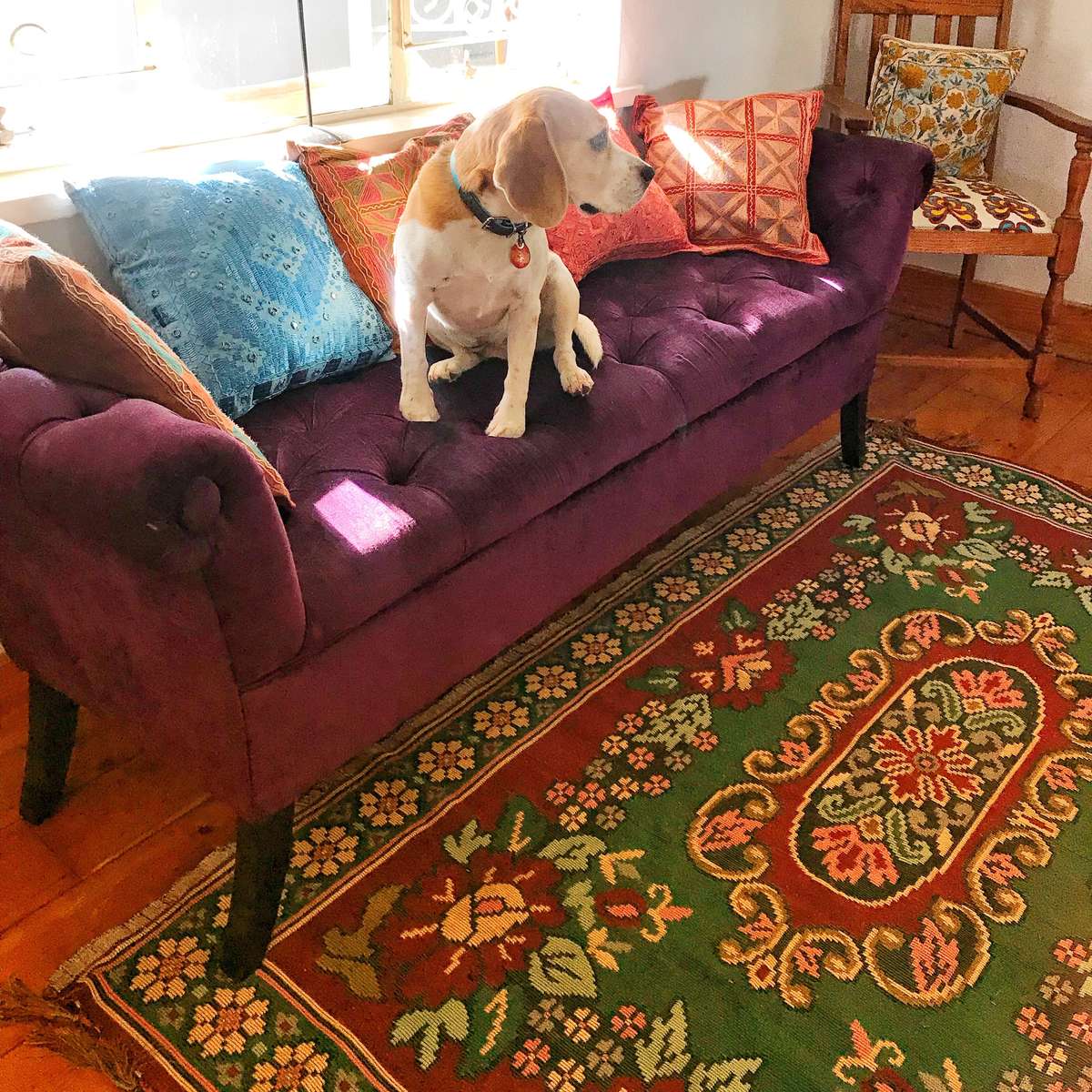 Garden Splendour Rug