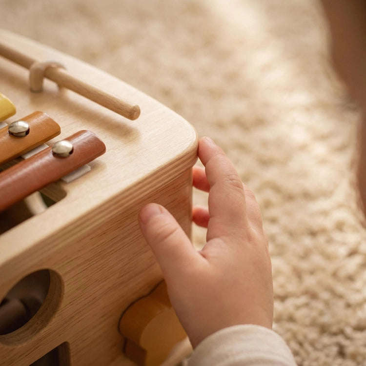 5 in 1 Mushroom Wooden Activity Cube