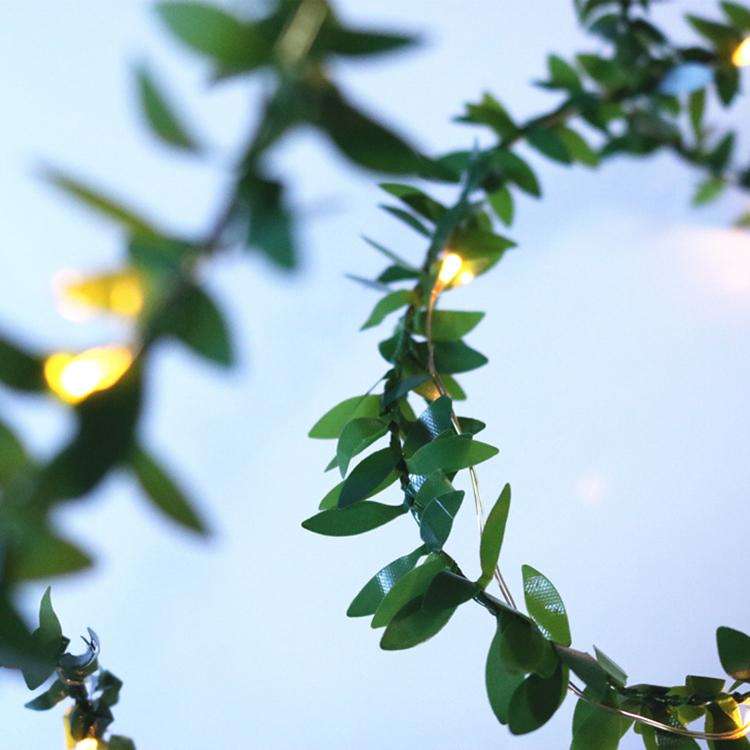 Green Leaf 2m String Lights