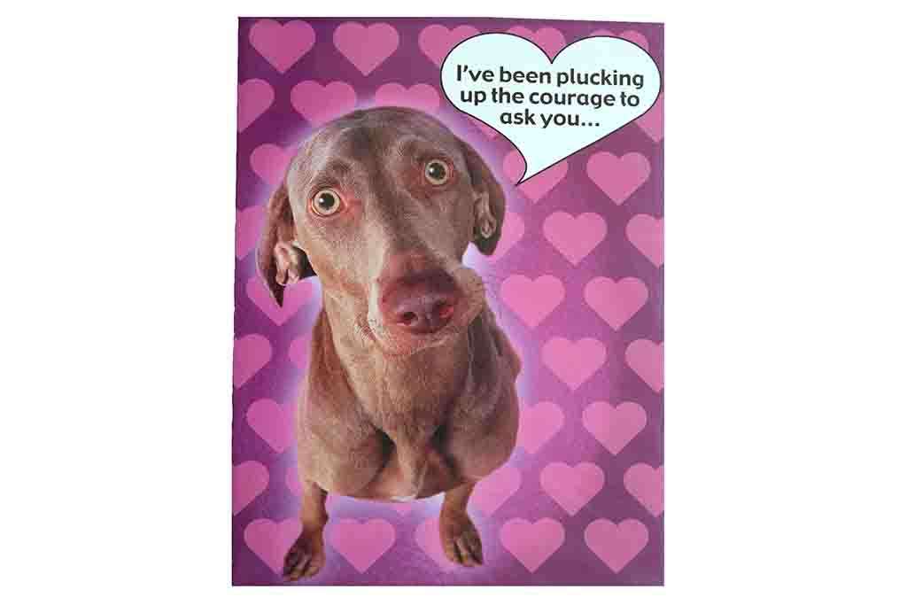Ive been Plucking up the Courage to ask you, Valentines Card