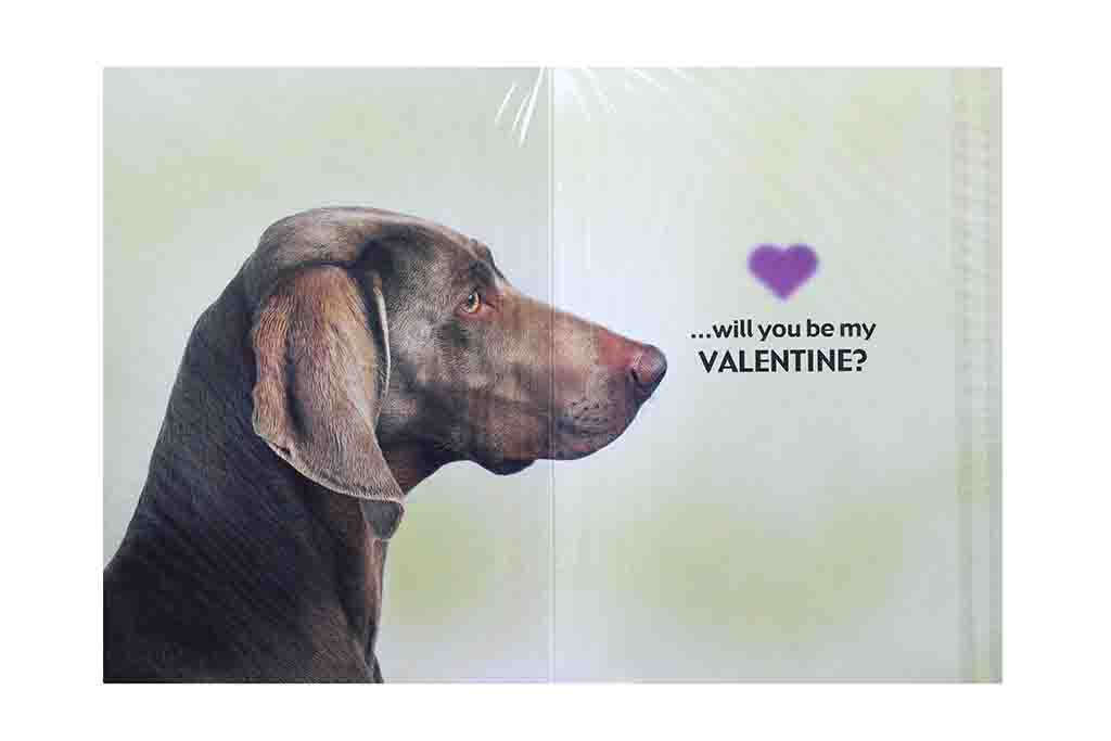 Ive been Plucking up the Courage to ask you, Valentines Card