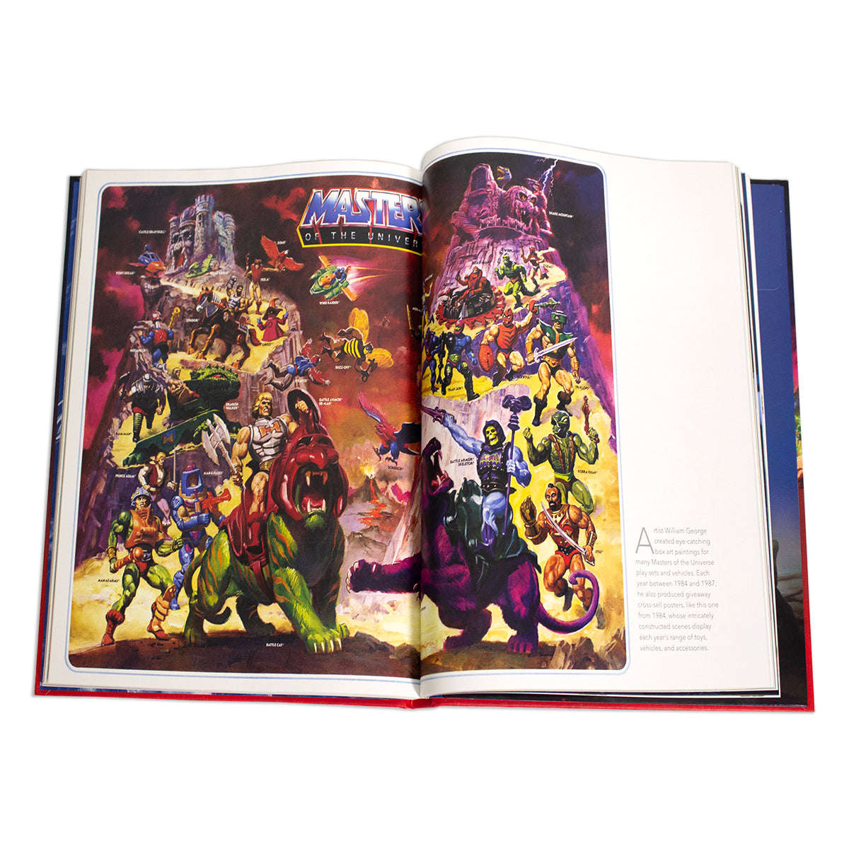 The Masters of The Universe Book