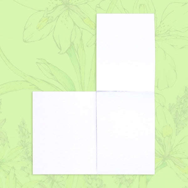 Cape Iris A7 Notebook