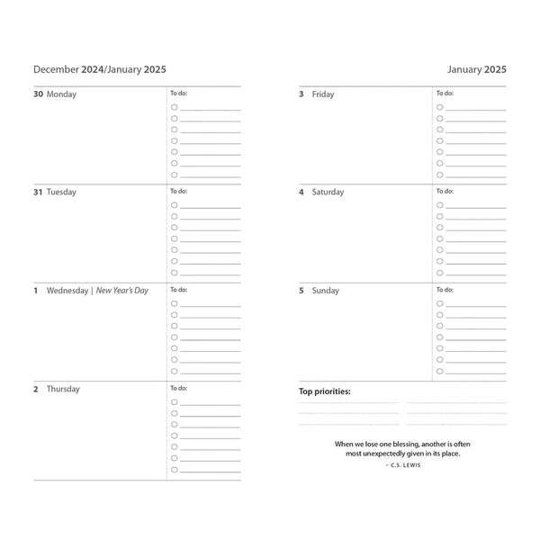 Pocket Diary 2025 Surreal Salmon