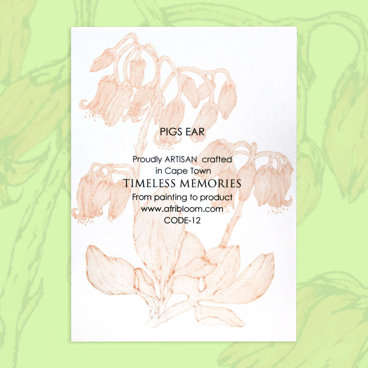 Pigs Ear A7 Notebook