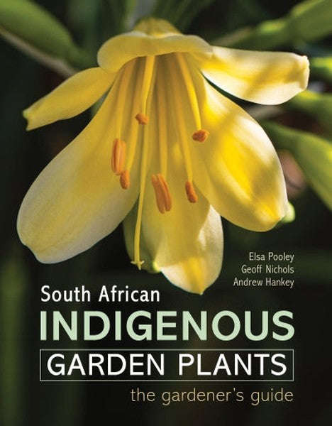 South African Indigenous Garden Plants