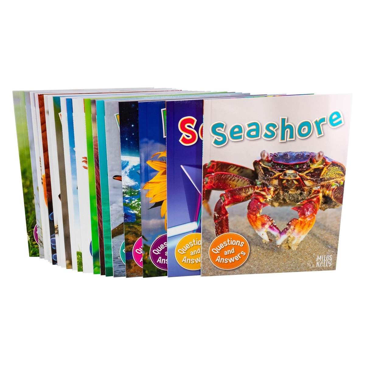 My Question And Answer Library Box Set