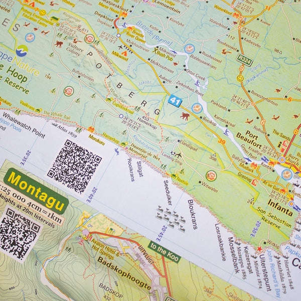 Overberg Whale Coast 8th Edition