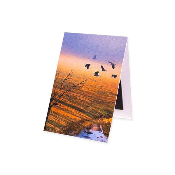 The Hidden Girl (with exclusive magnetic bookmark)