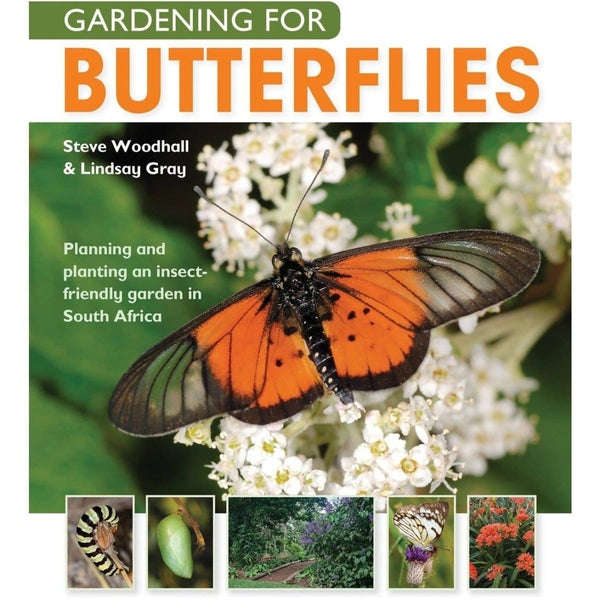 Gardening For Butterflies