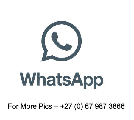 Tissot Chrono XL Classic Watch - T116.617.11.057.01 (New)