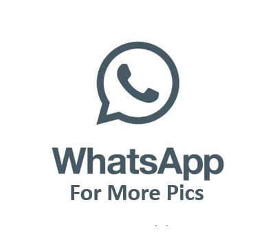 Frederique Constant Classics Quartz GMT - FC-252NS5B6 ()