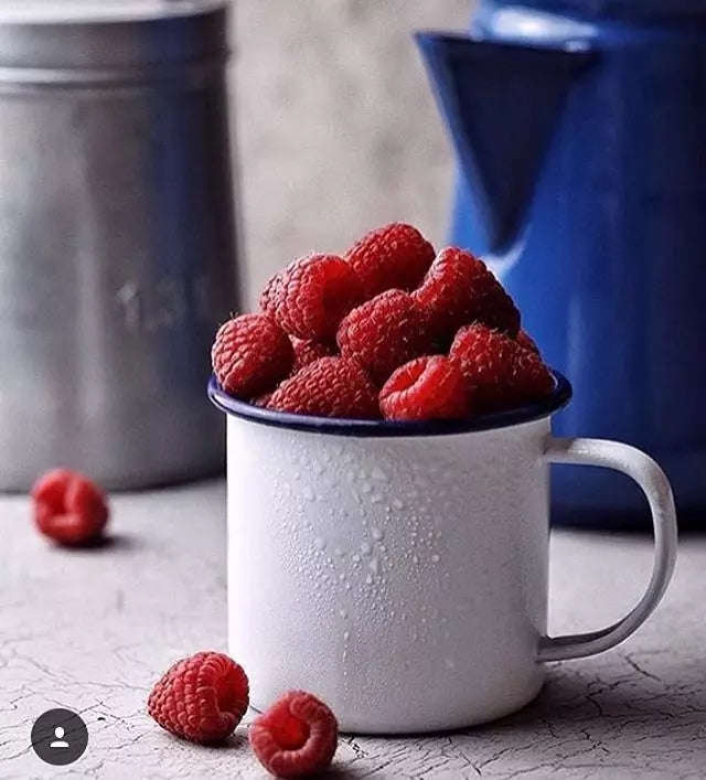 New World Enamel Mug Plain/Decorative