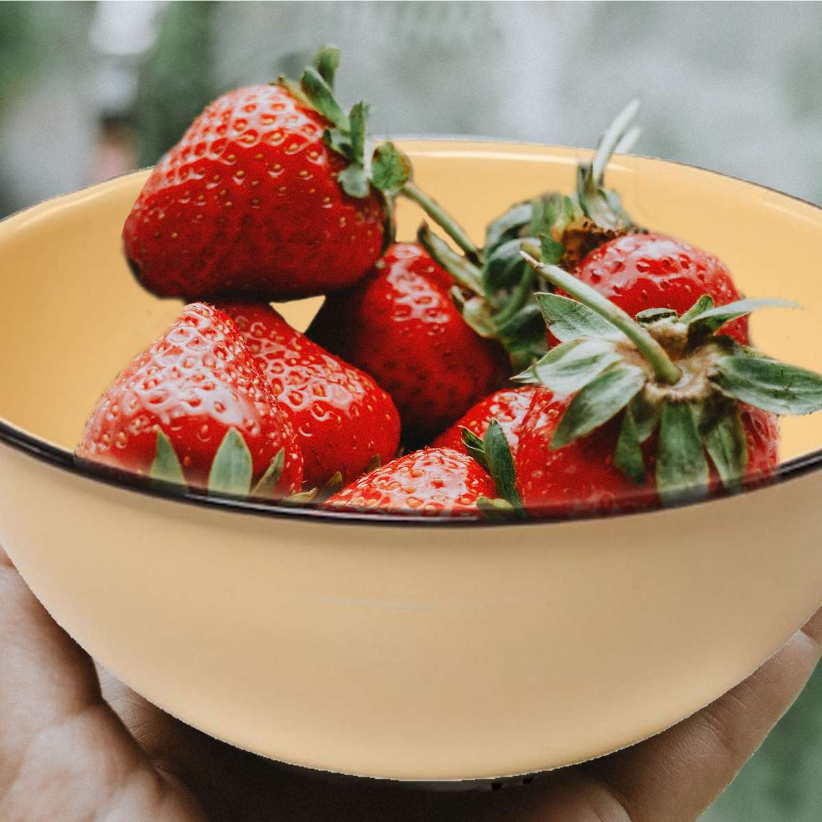 New World Enamelware 12pc dinning set mug plate bowl camping