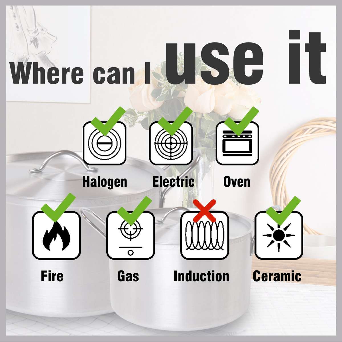 Bon Voyage Extra Heavy Duty Catering Pot individual