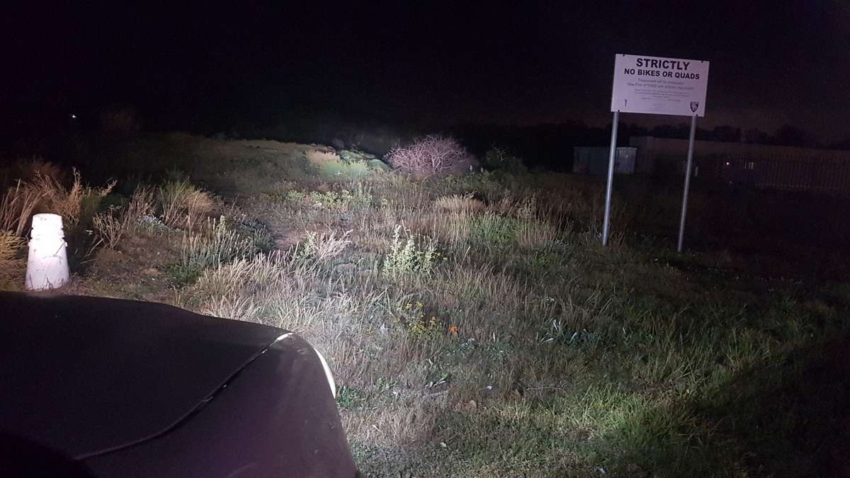 H4 Elite 8C Headlight Replacement Bulb - Set of two