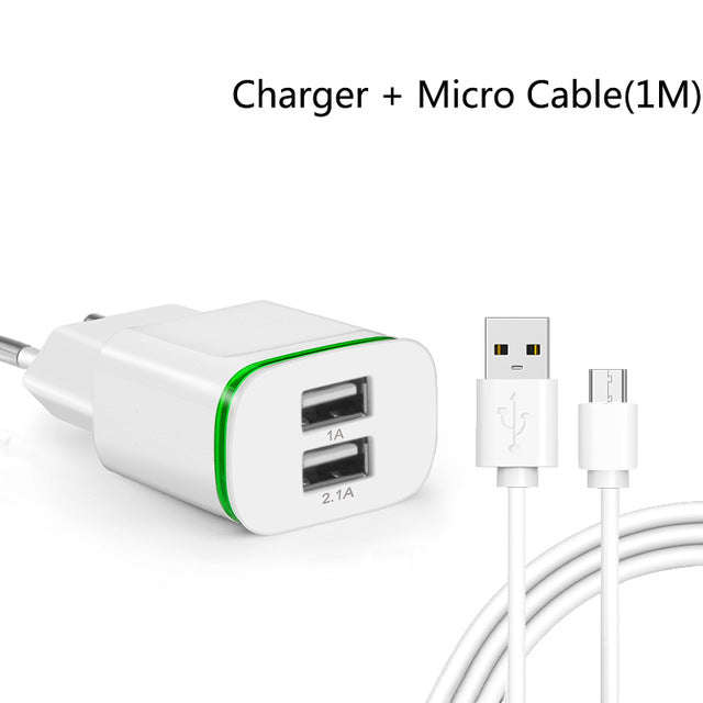 USB Charger 5V 2A + Micro usb cable