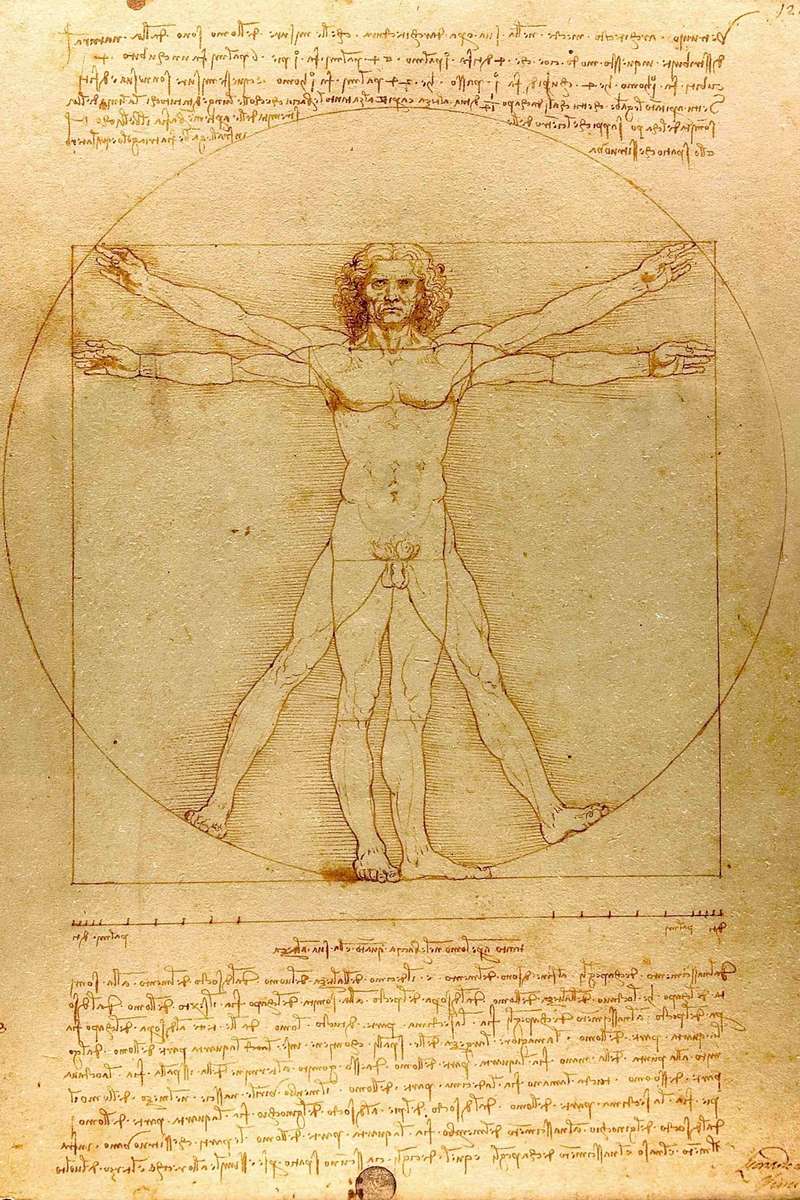 Vitruvian Man - Leonardo da Vinci poster