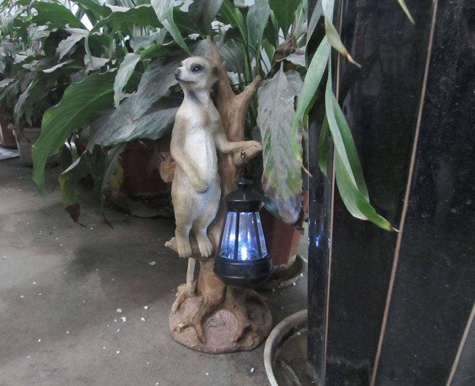 Solar Garden Tree Meerkat