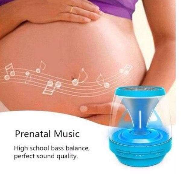 PORTABLE WIRELESS BLUETOOTH SPEAKER WITH FM RADIO