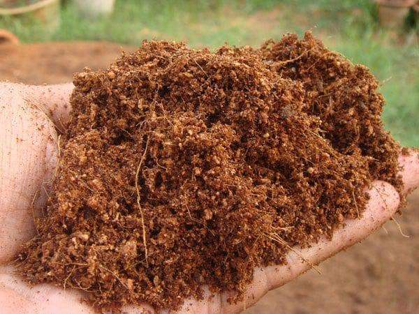 Premium Coco Peat 650g