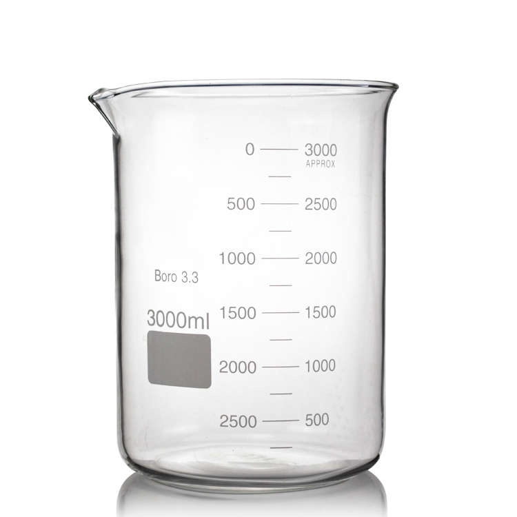 Glass Beakers Low Form