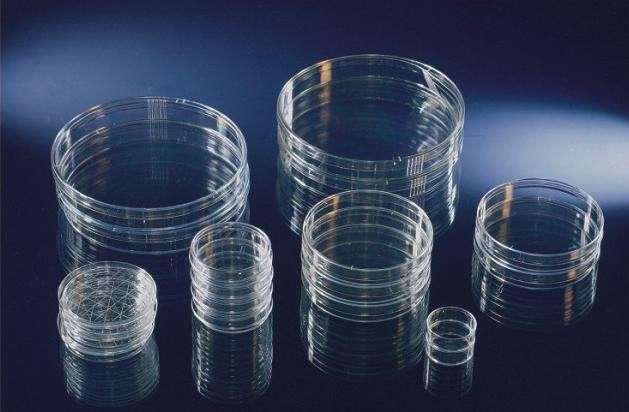Glass Petri Dishes