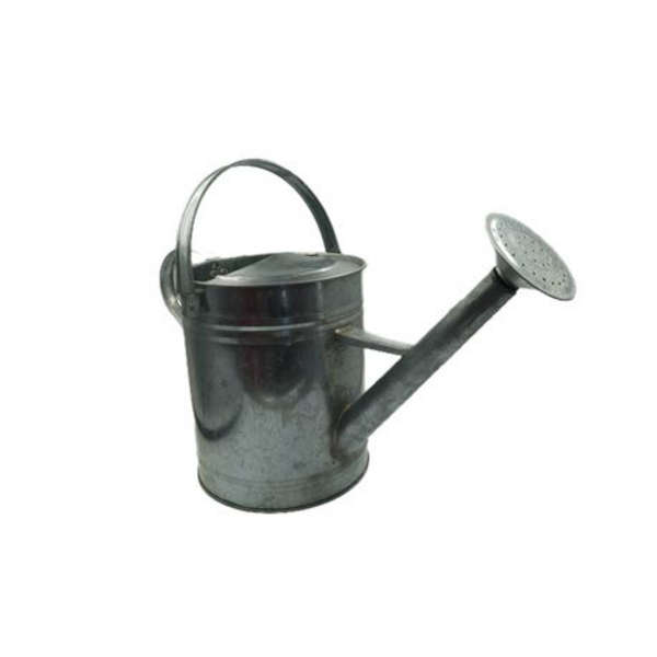 3.5L Watering Can - Silver