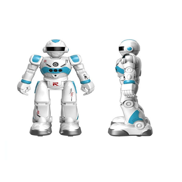 Intelligent Sensor Robot