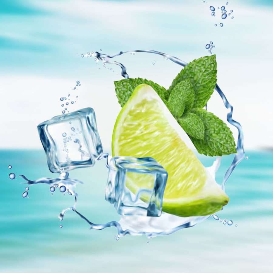 Caribbean Tonic - Lampe Berger Fragrance 500ml