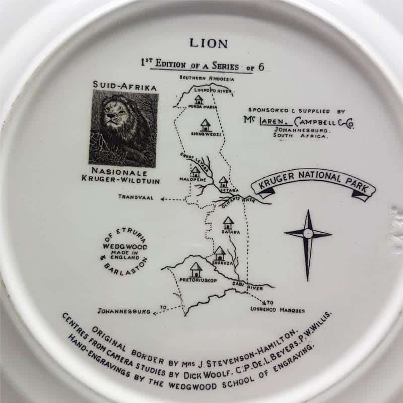 Wedgwood Kruger National Park Lion